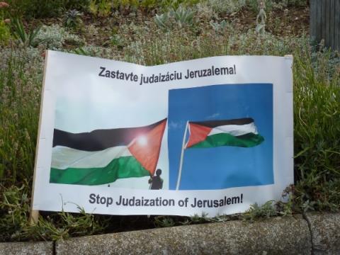 palestina_protest_13.jpg
