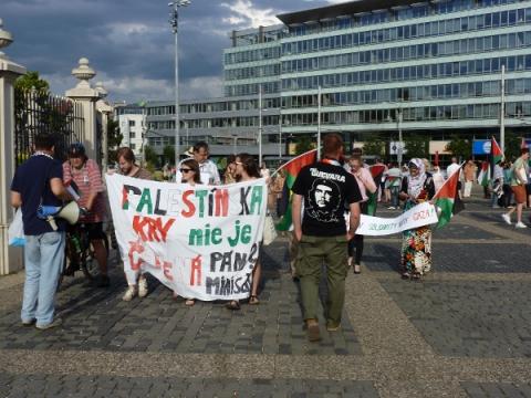 palestina_protest_17a.jpg