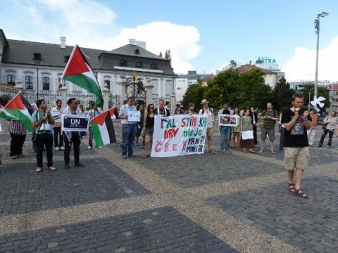 palestina_protest_4.jpg